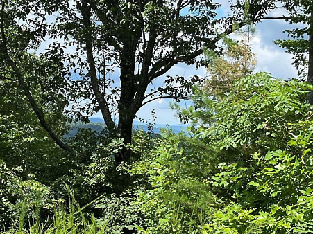 Premium Development Land | Kolašin